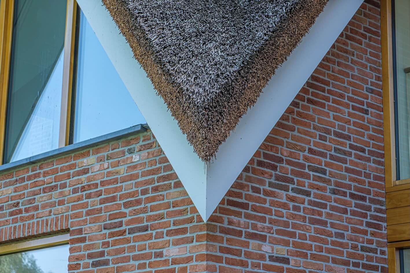 Project afbeelding